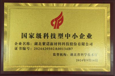 国家级科技型中小企业